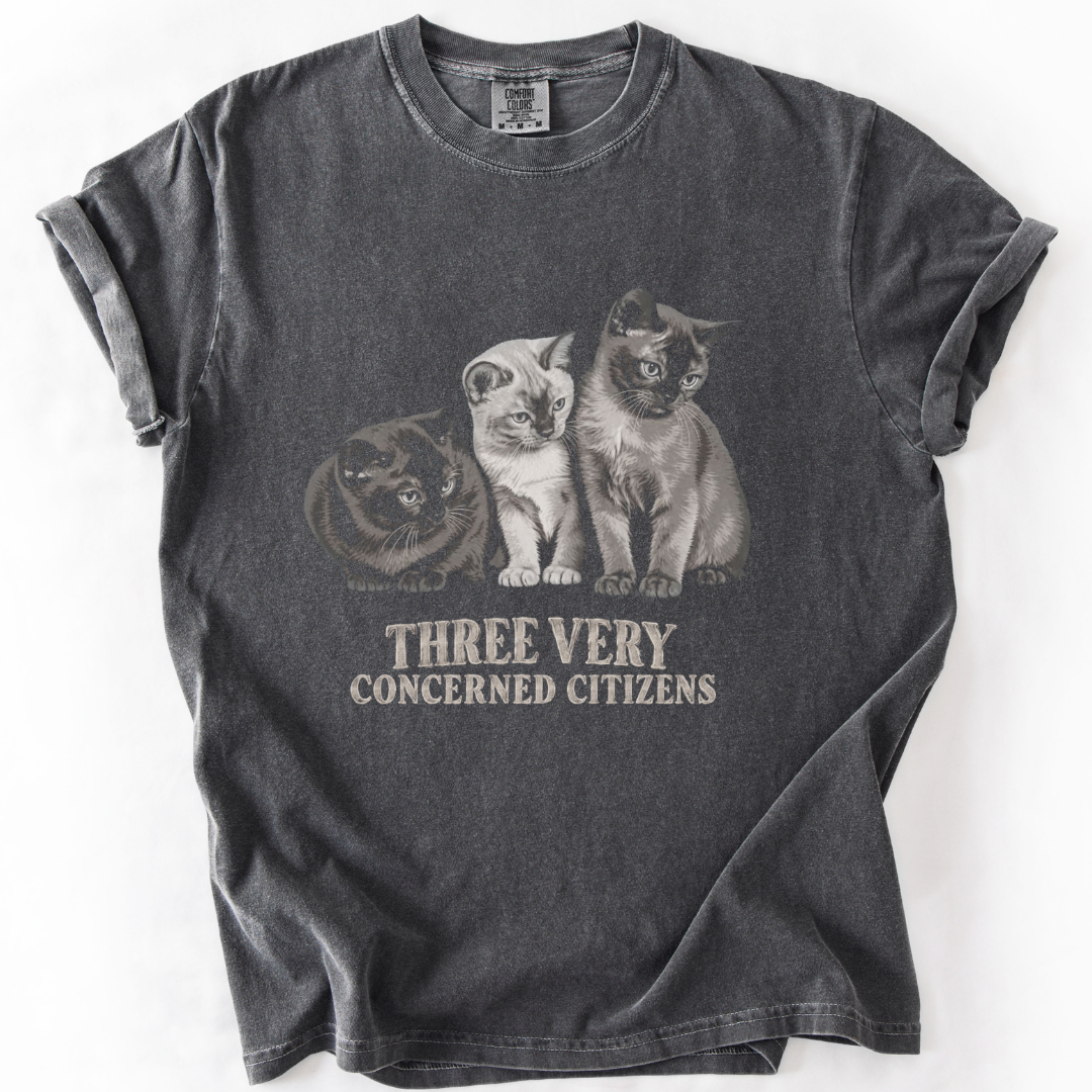 Funny Vintage 3 Cats T-Shirt