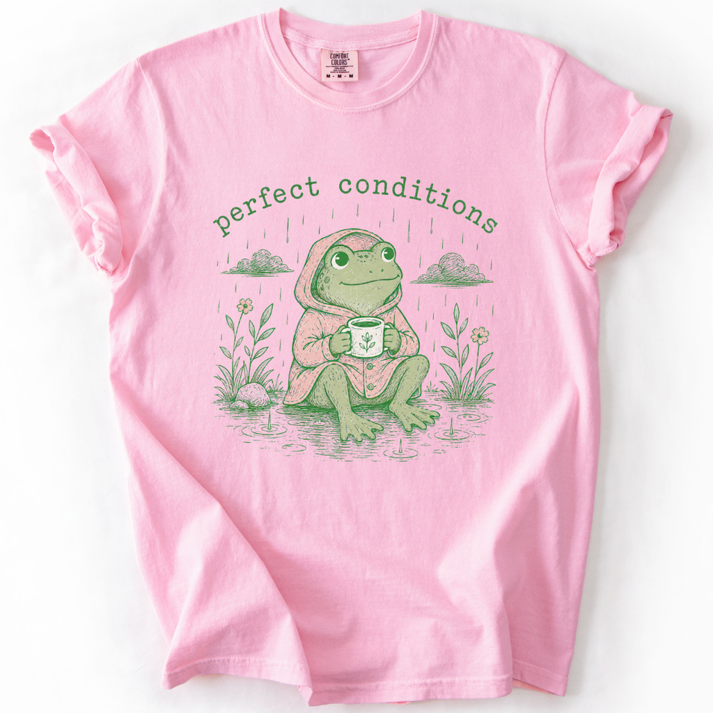 Cute Rainy Frog T-Shirt